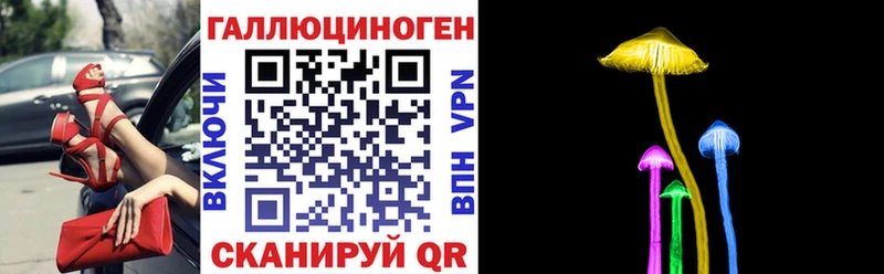 Галлюциногенные грибы Psilocybe  Салават 